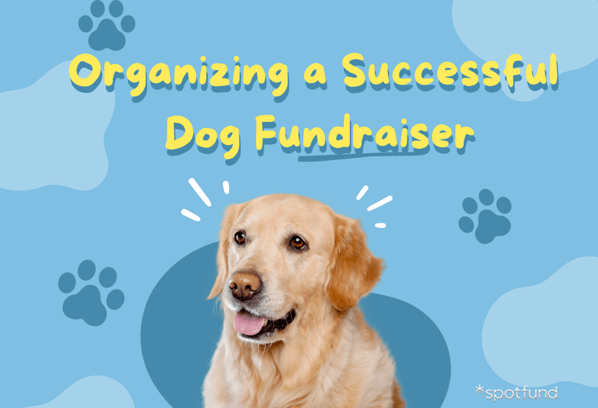 Organizing a Successful Dog Fundraiser