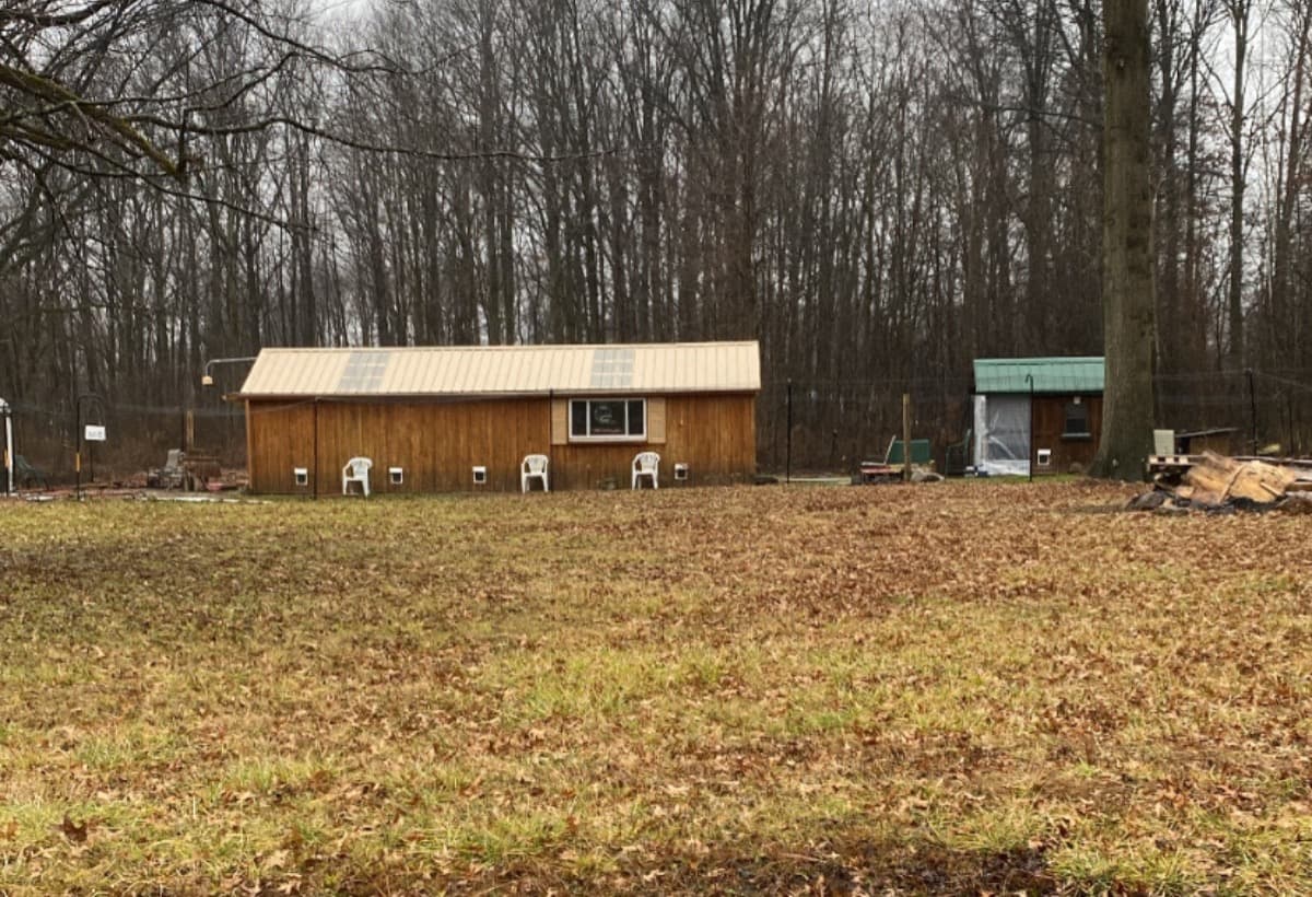 Saving A Sanctuary